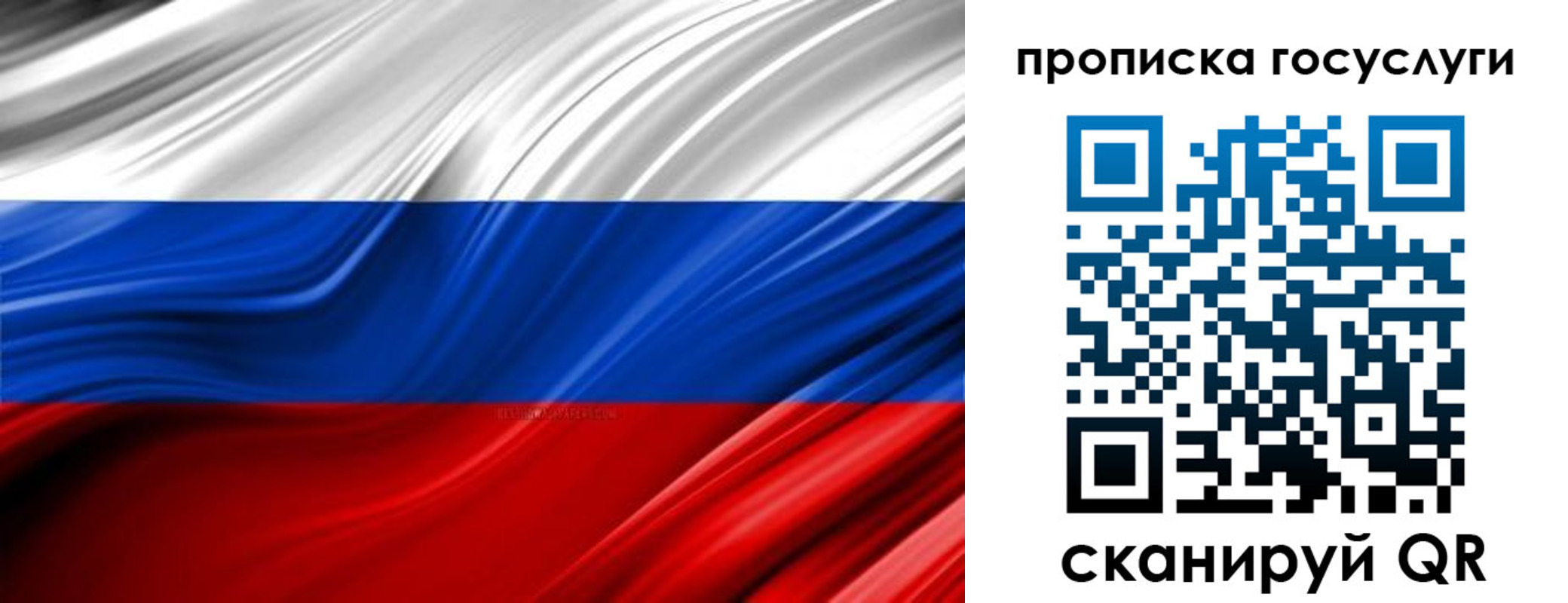 прописка паспорт в Судогде